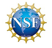 Logo NSF